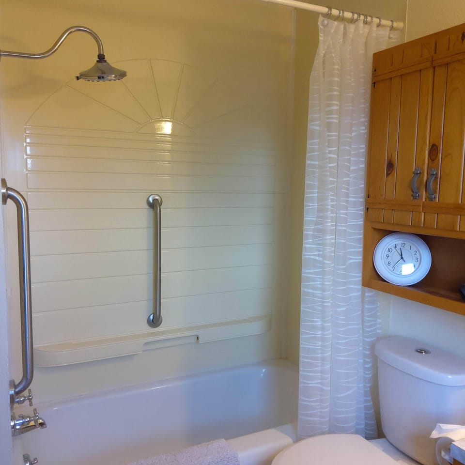 Tub and shower with handicap bars
