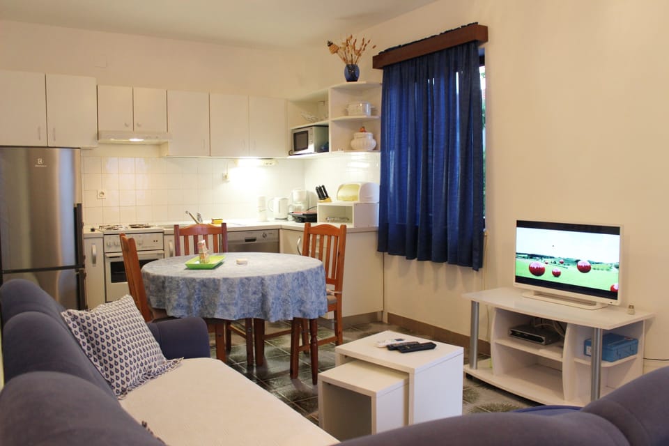 Apartment (One-Bedroom Apartment with Terrace) | Living room | TV
