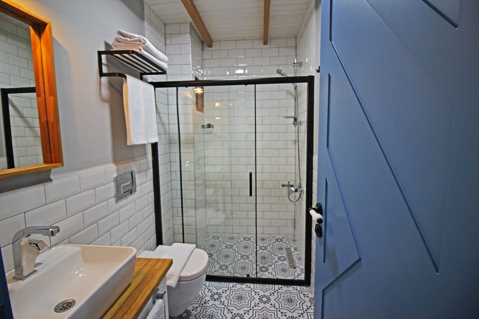 Shower, hair dryer, toilet paper