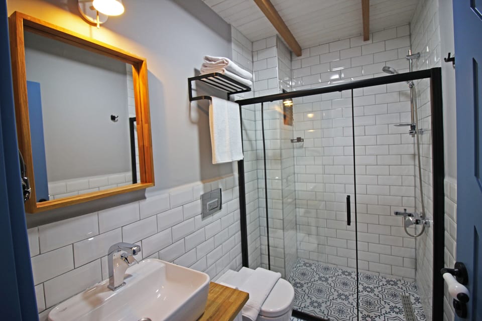 Shower, hair dryer, toilet paper