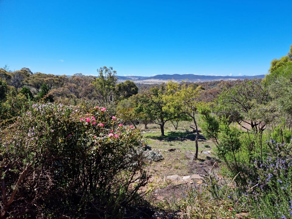 view from the house