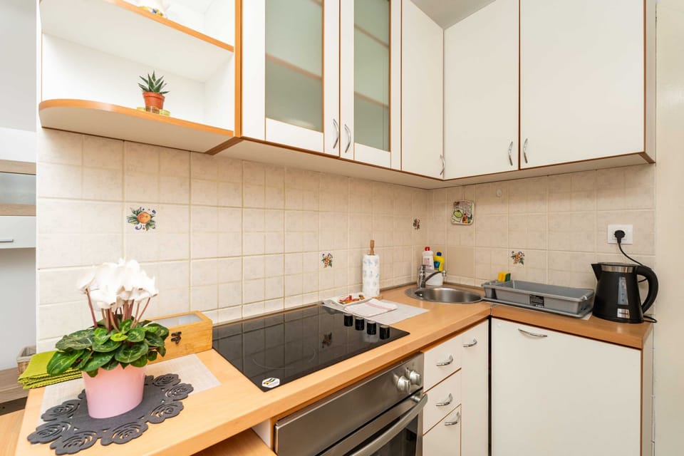 Apartment (One Bedroom Apartment with Terrace) | Private kitchen | Fridge