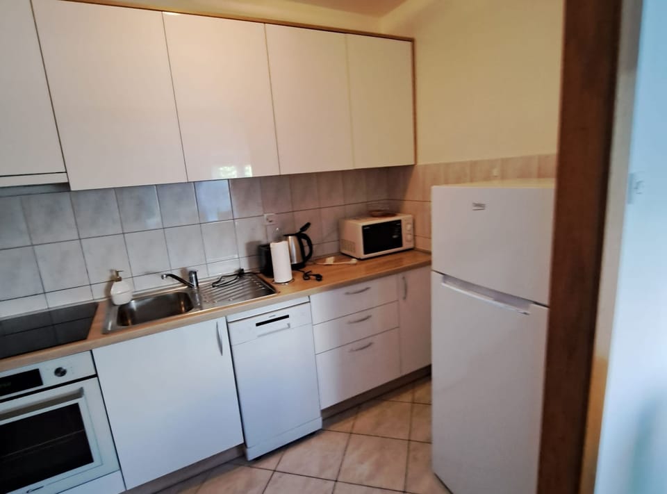 Apartment (Three Bedroom Apartment with Balcony) | Private kitchen | Fridge, microwave, stovetop, electric kettle