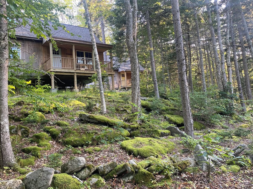 Enjoy wildlife overlooking pond & field. 
