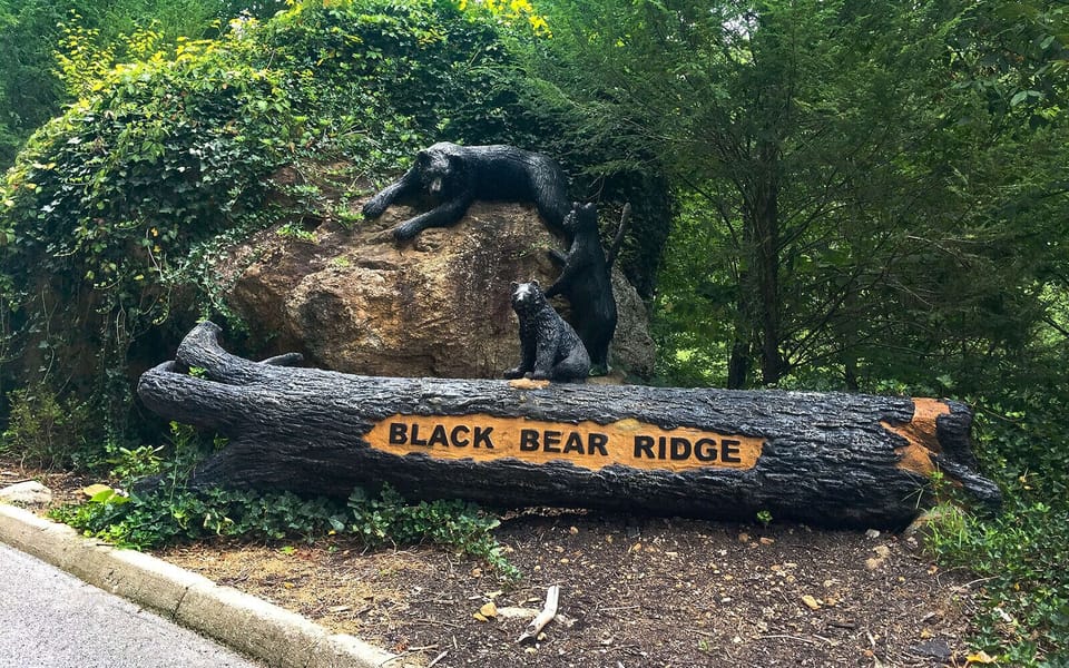 Jennie's Cove is located in Black Bear Ridge Resort