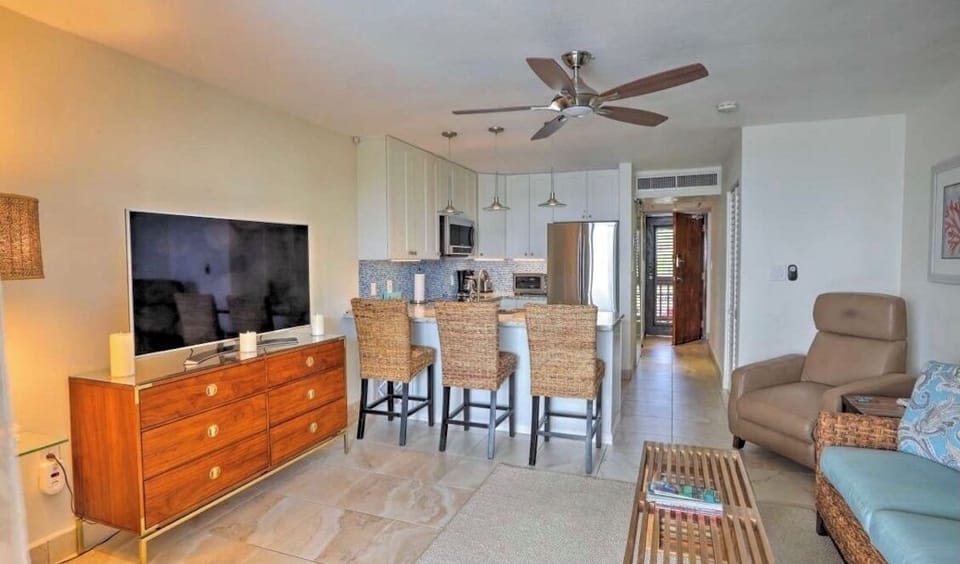 Living room and kitchen