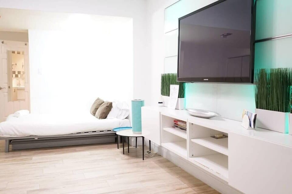 SLEEPER SOFA MADE - SLEEPS 2 