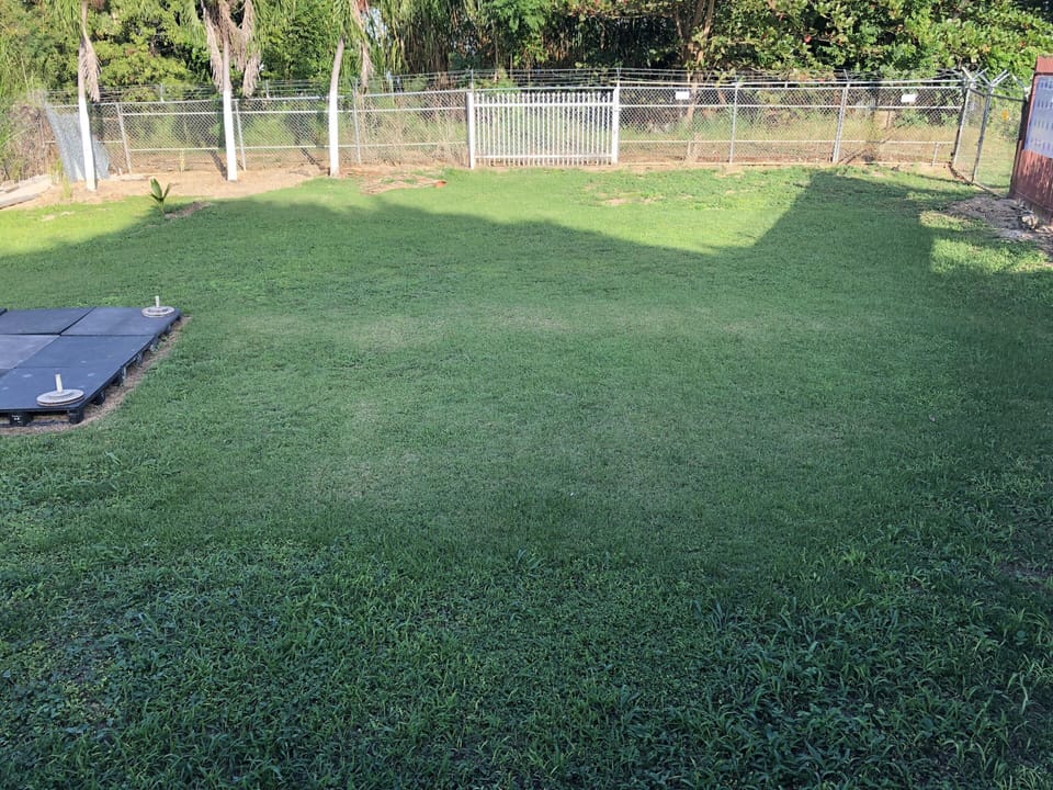 huge backyard