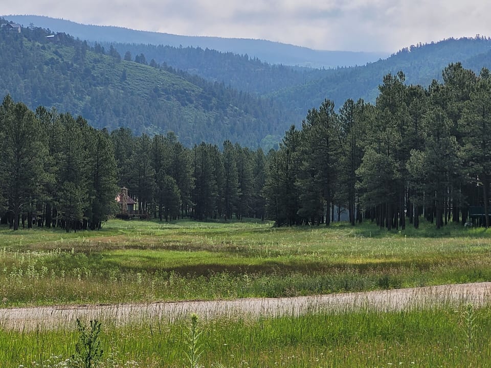 Scenic Cougar trail is just a 5-8 minute walk from our cabin.