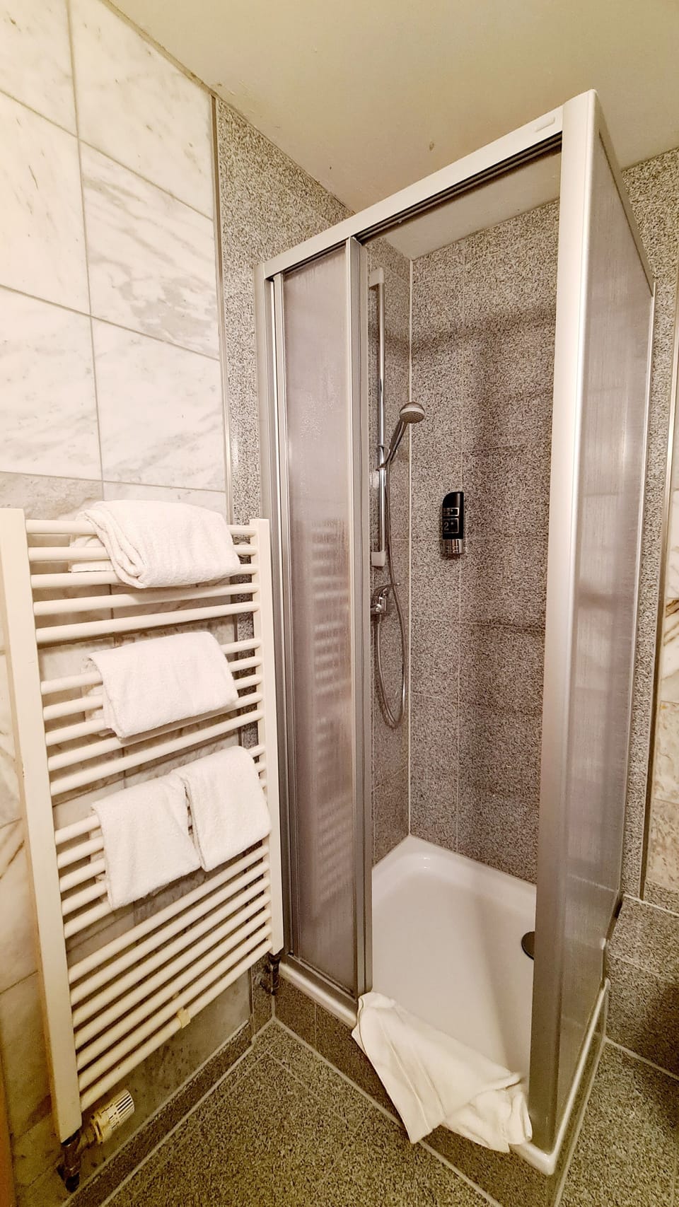 Double Room | Bathroom | Shower, free toiletries, hair dryer, towels
