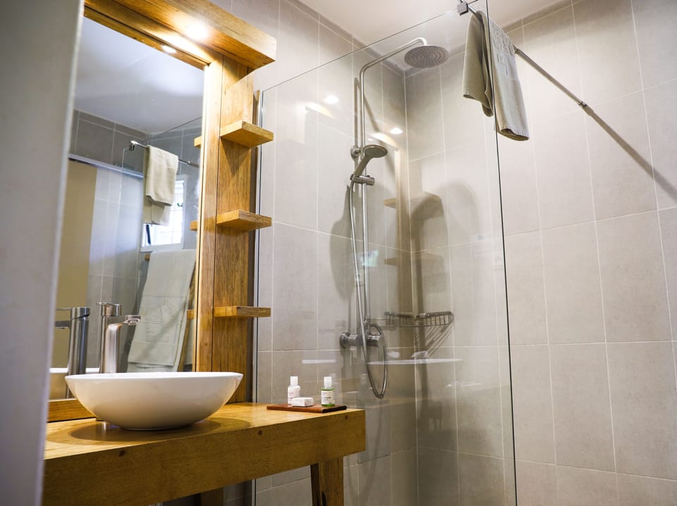 Shower, free toiletries, hair dryer, slippers