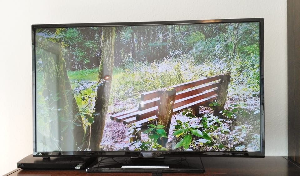 Television