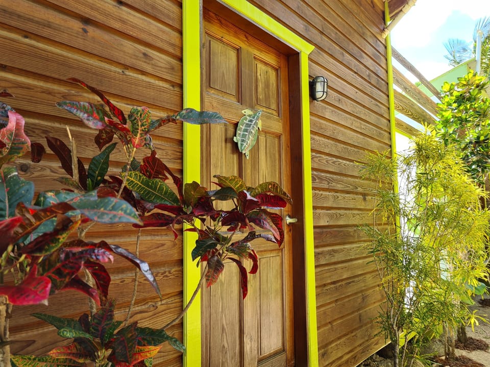Front door of Turtle Cottage