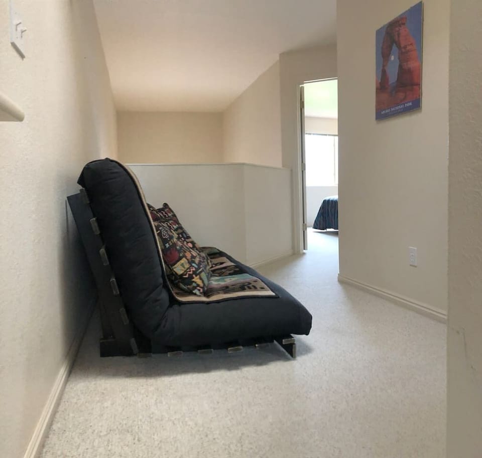 Sleep Sofa/Futon