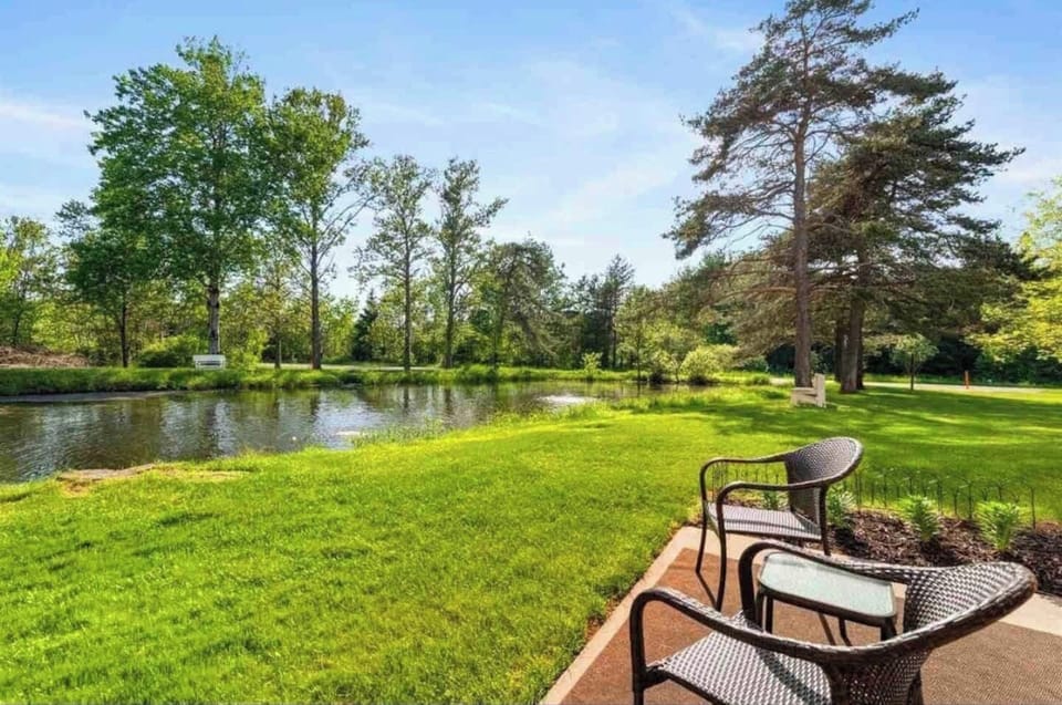 Patio overlooking pond | Fish or bird watch