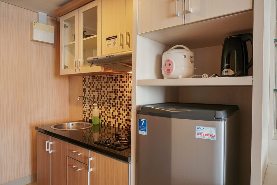 Apartment, Non Smoking, Kitchenette | Private kitchen | Fridge, stovetop, dishwasher, electric kettle