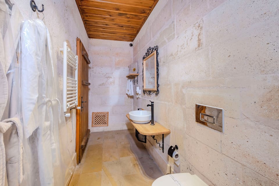 Deluxe Double Room | Bathroom | Shower, free toiletries, hair dryer, bathrobes