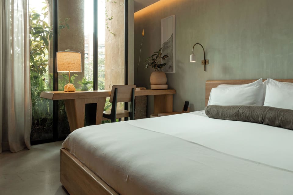 Standard Double Room | Egyptian cotton sheets, premium bedding, down comforters