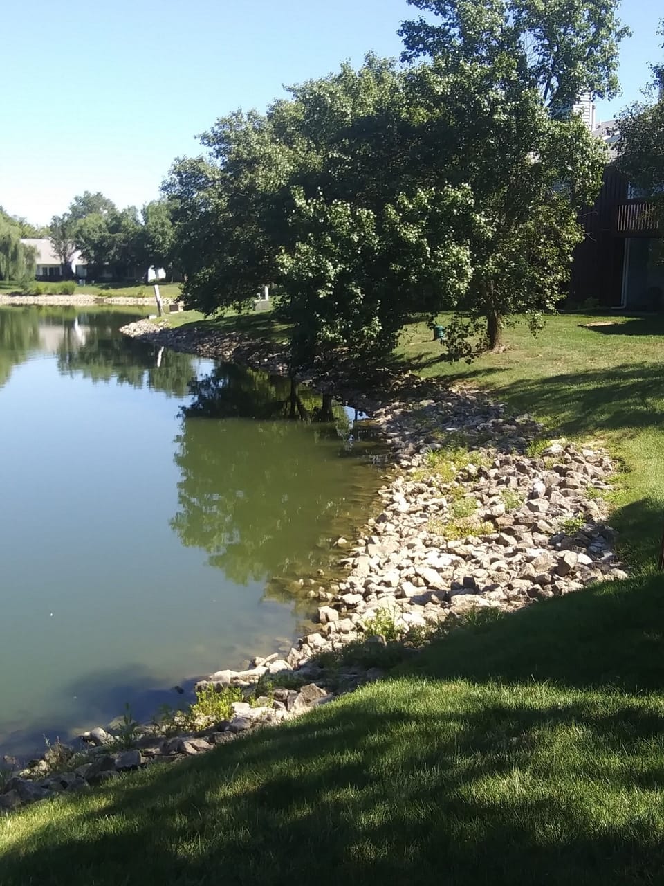 lake outside our door