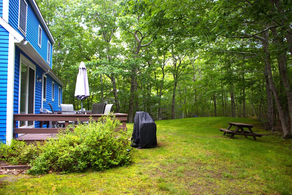Backyard with seasonal furniture and grill