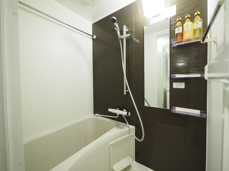 Deluxe Twin Room | Bathroom | Separate tub and shower, hair dryer, slippers, bidet