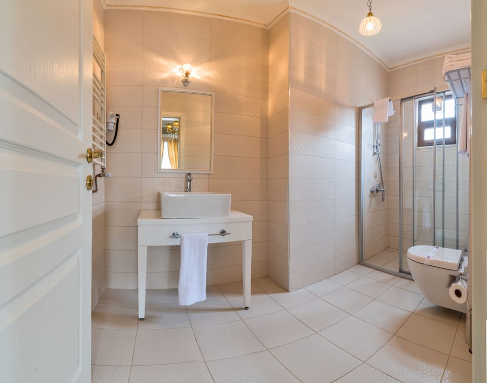 Shower, free toiletries, hair dryer, slippers