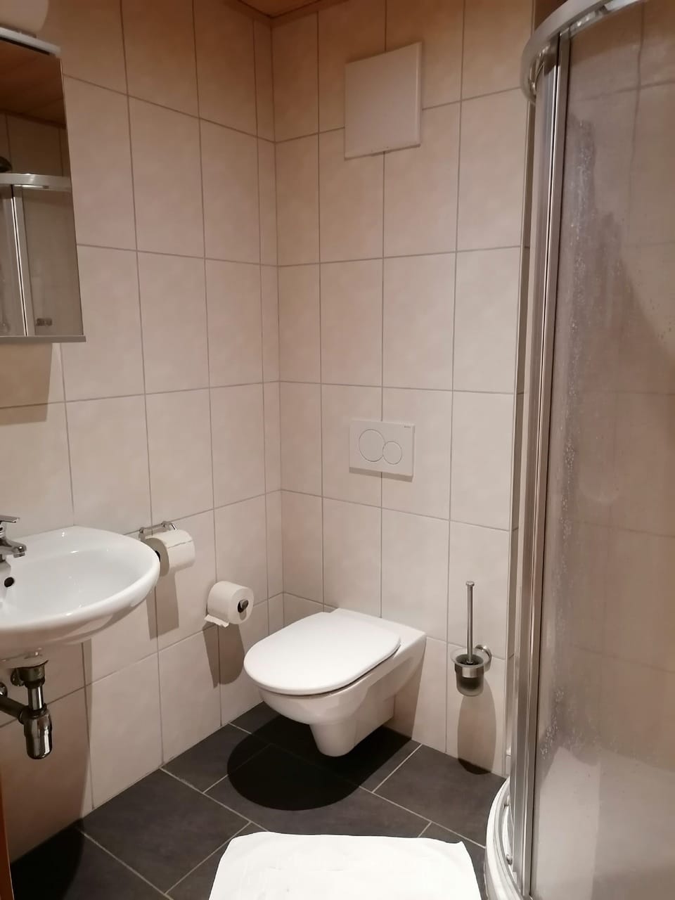 Single Room | Bathroom | Shower, towels
