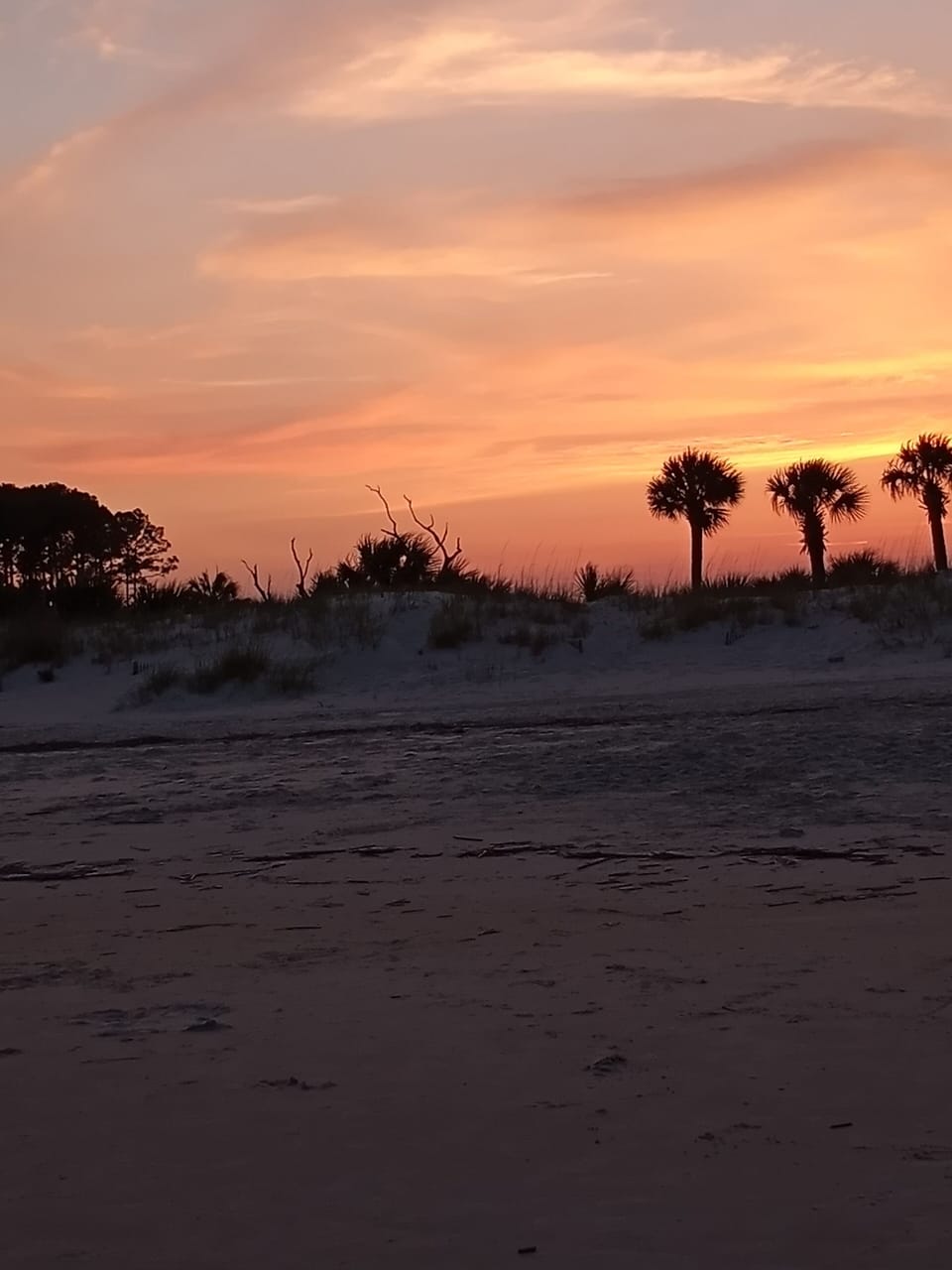 Gorgeous sunsets!