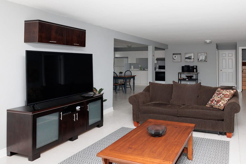 living rm with pull out couch, double