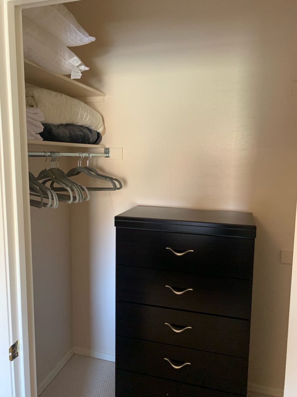 Guest room walk in closet and additional dresser