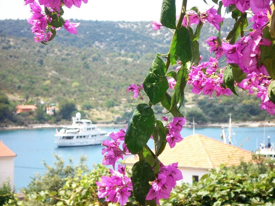 Apartment, 1 Bedroom, Smoking, Balcony | Property grounds