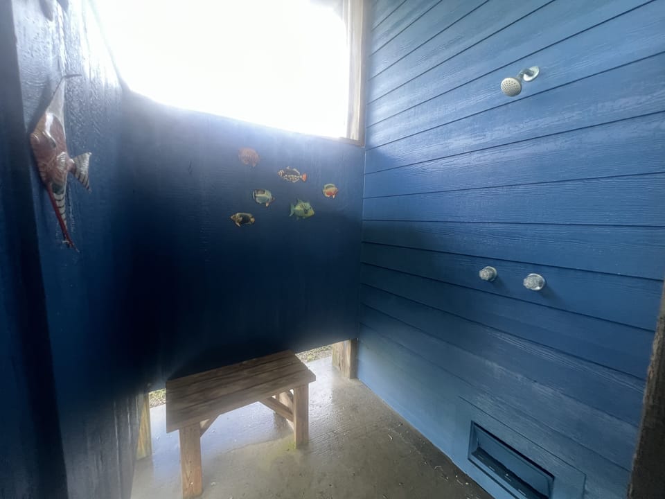Outdoor hot/cold shower 