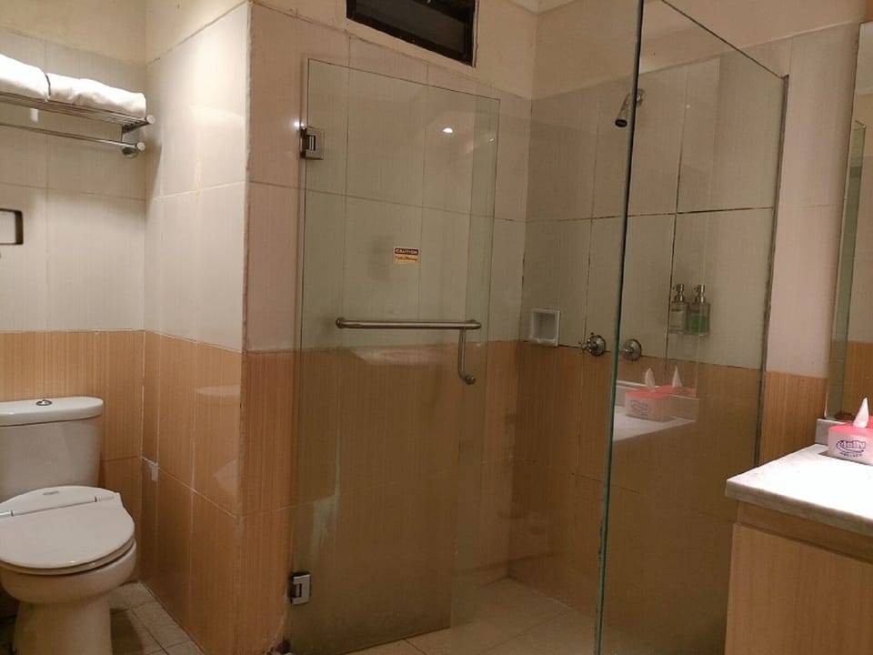 Shower, free toiletries, towels