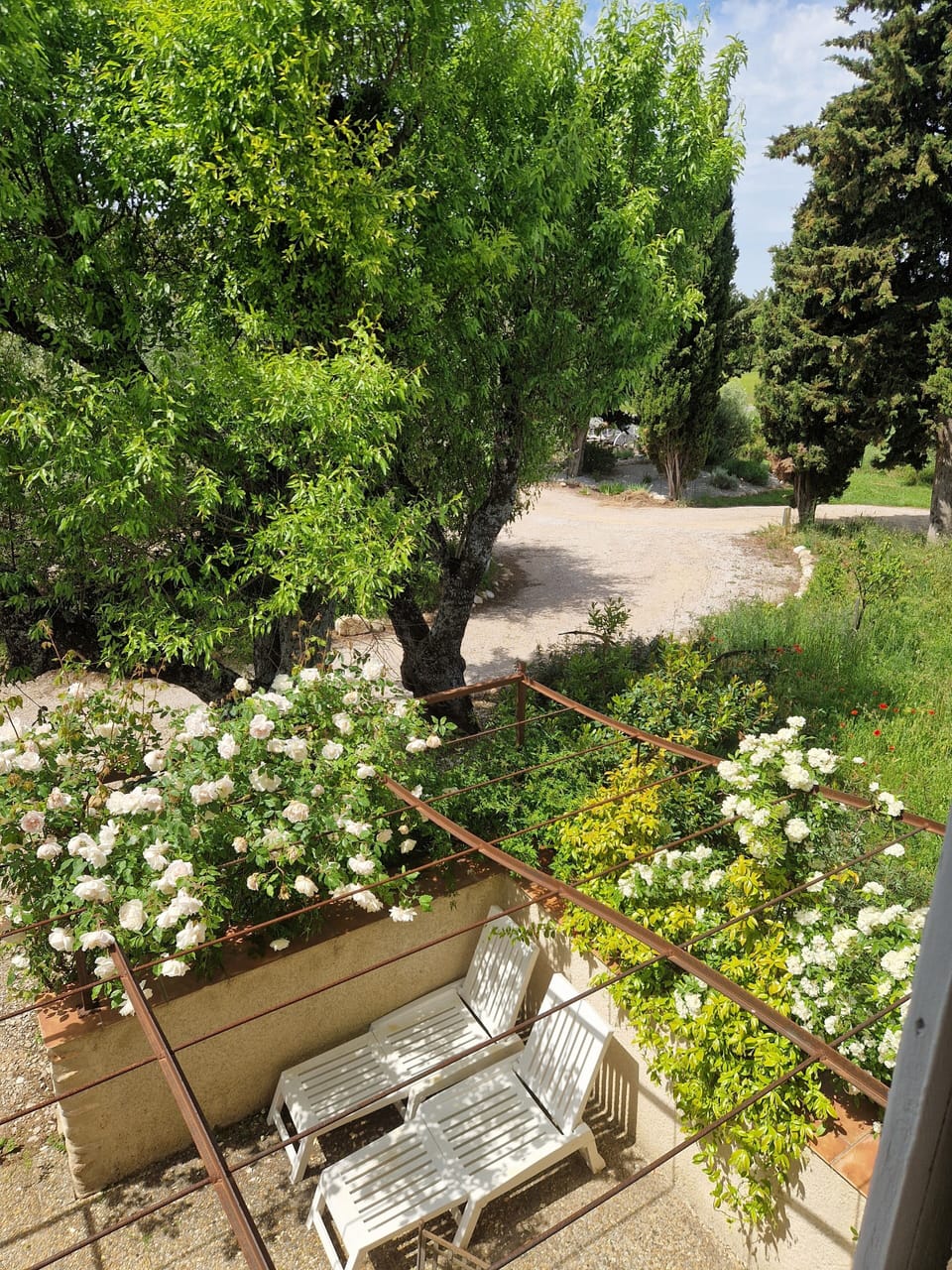 View from Bedroom