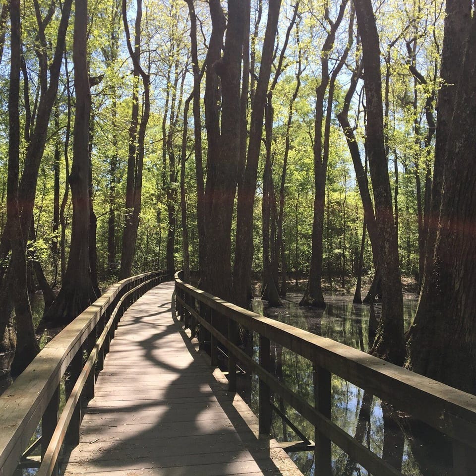Natchez Trace Parkway has many places to hike.