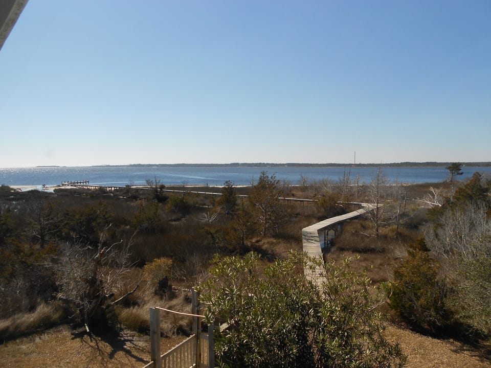 View of the boardwalk and dock from the back deck.
