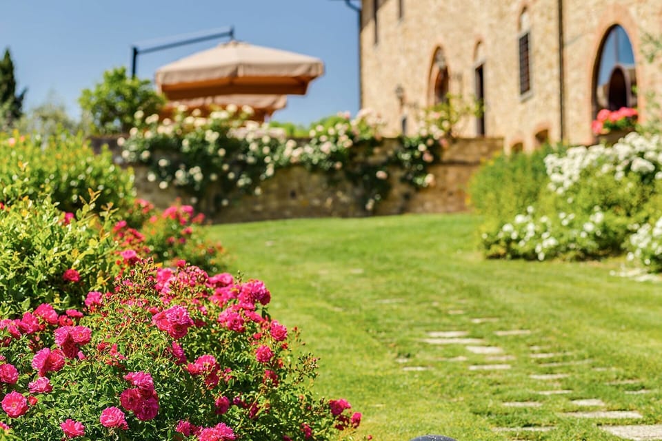 Flower, Plant, Building, Nature, Botany, Petal, Window, Sky, Tree, Grass