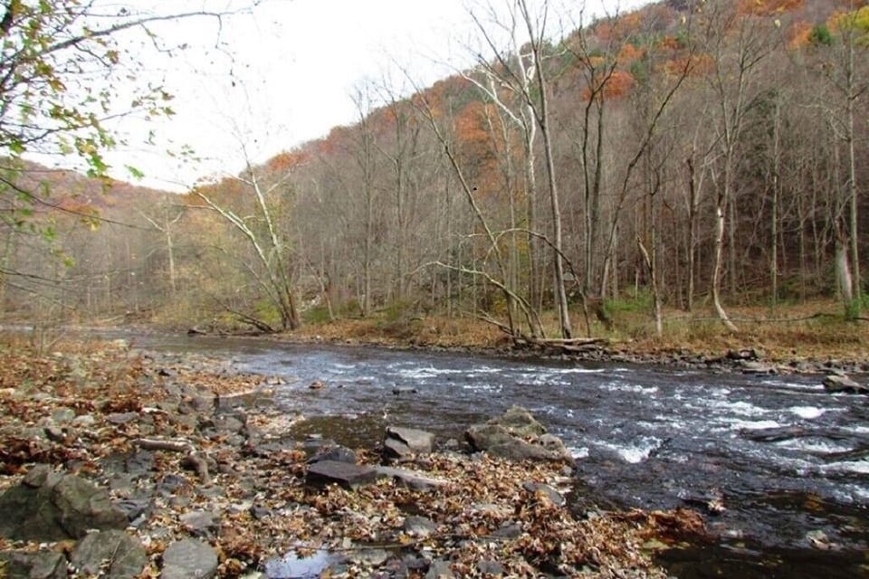 The "Little J": Just a quick walk (Photo Courtesy: Little Juniata River Assn)