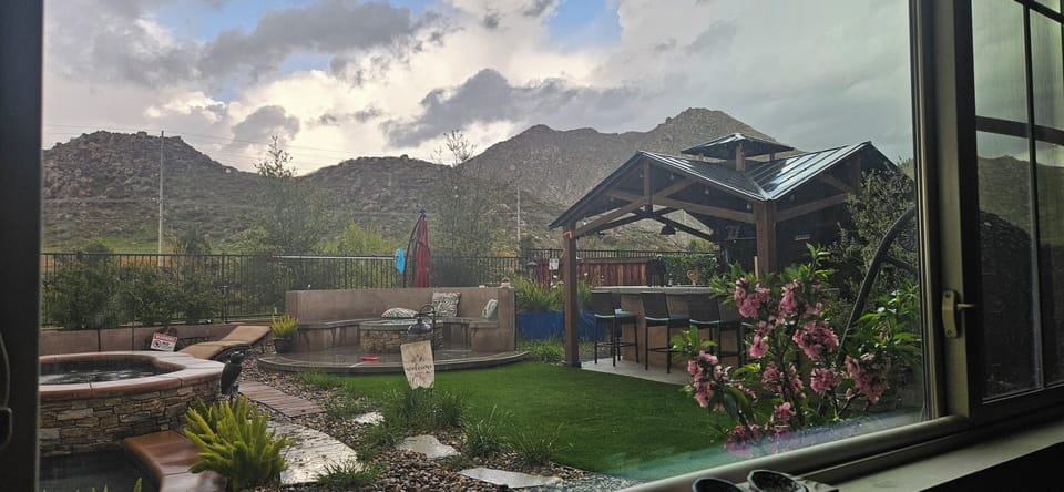 Peach tree blossoms. 🍑