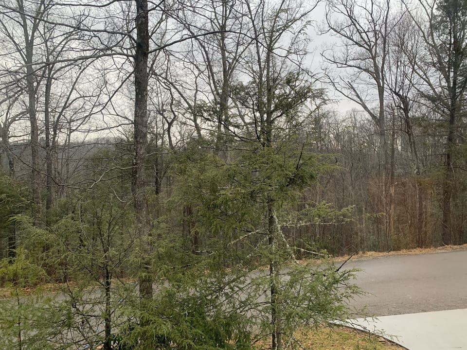 View from the front porch