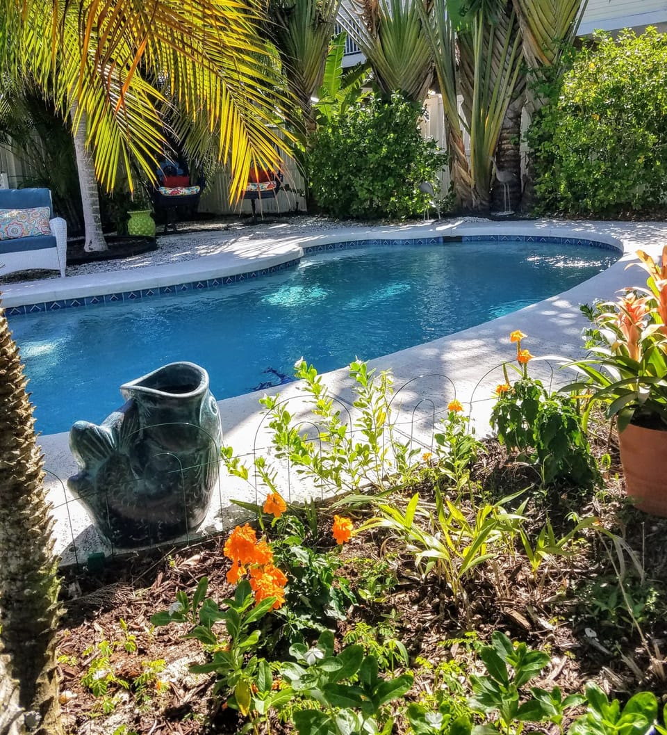 “The Pond” private, heated pool