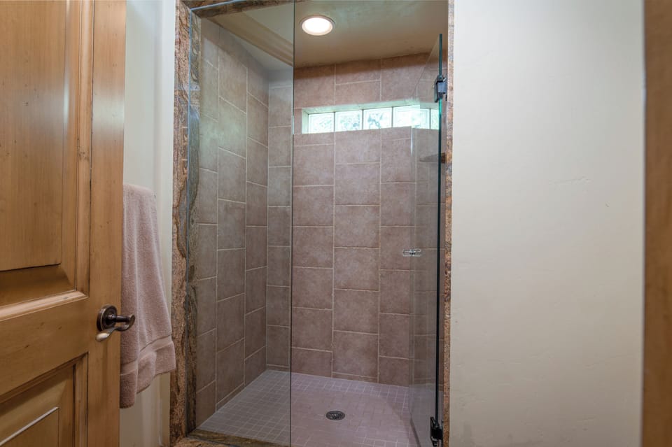 Separate Guest Suite Shower