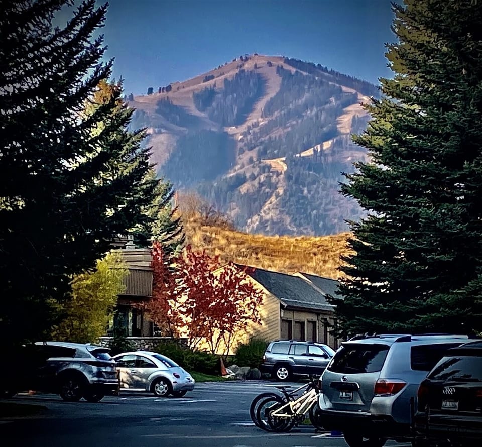 Baldy View in Summer