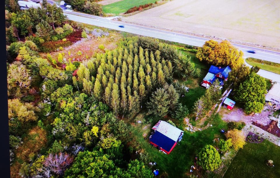 area