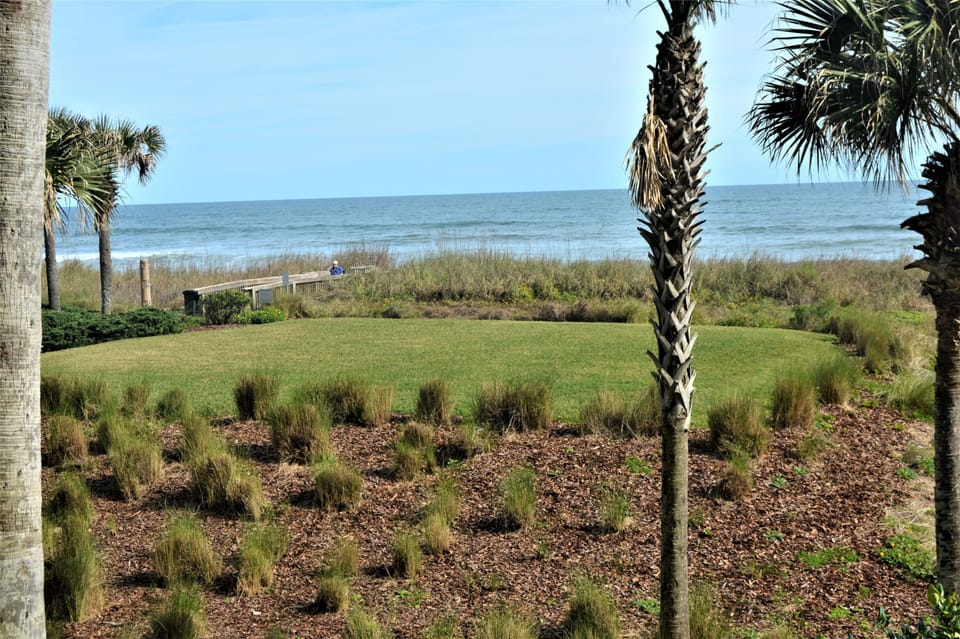 Expansive Ocean View