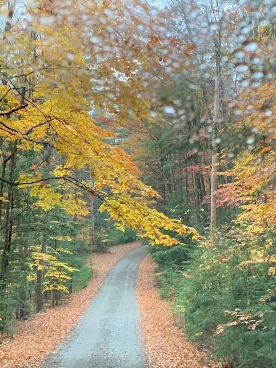 Fall time at our property