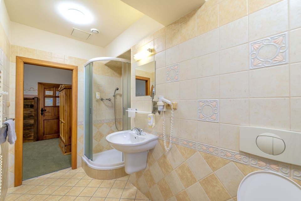 Shower, free toiletries, hair dryer, towels