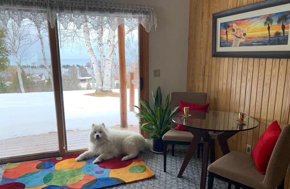 Pet friendly. Small cleaning fee required for extra cleaning after pets.