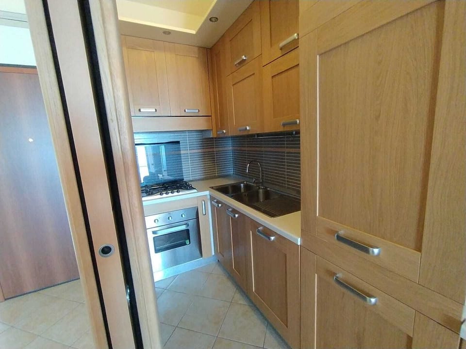 Full-size fridge, oven, stovetop, dishwasher