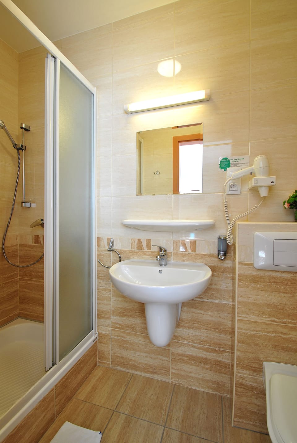 Shower, hair dryer, towels